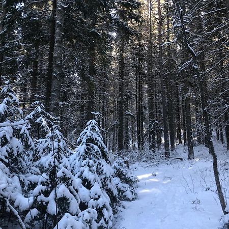 Kungsbergetnatur Järbo Exterior photo