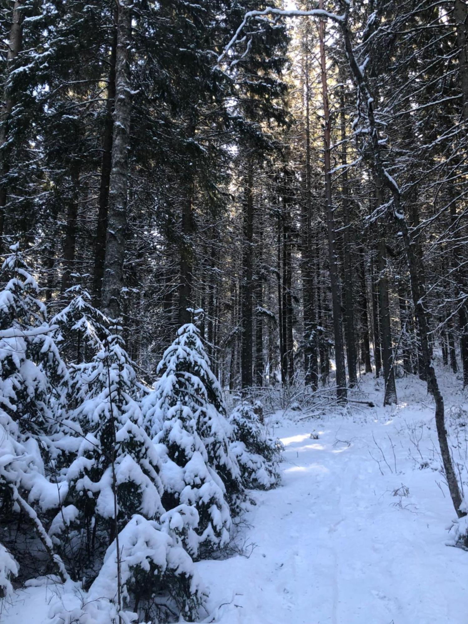 Kungsbergetnatur Järbo Exterior photo